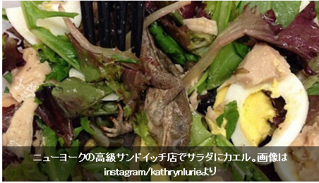 【閲覧注意】ニューヨークの高級サンドイッチ・チェーン店のサラダにカエルが！