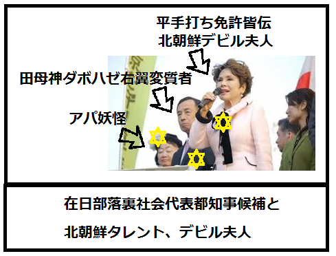 田母神氏、断トツ本命!? 都知事選アンケートで異変、8割以上の票集め