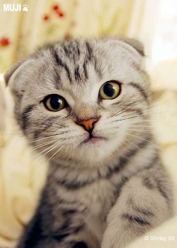 ふいに幸せを感じる瞬間