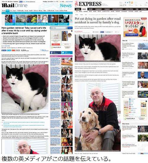 瀕死の“親友”猫を犬が救う、茂みの前で吠え続け飼い主に報告。 | Narinari.com