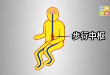 「リハビリ難民の再挑戦　足こぎ車いす」 | ちいきのきずな