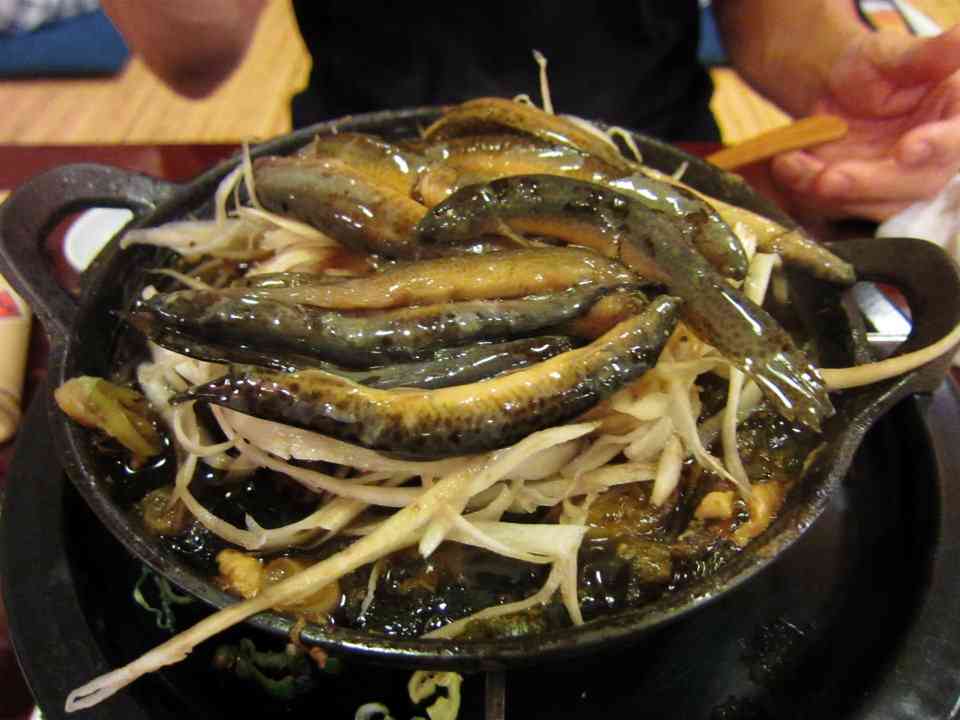 一番好きなお魚は何ですか？