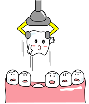 親知らず生えましたか ガールズちゃんねる Girls Channel