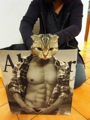 この動物たちがイケメンすぎるww