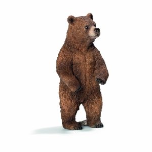 ほとんど食べられてる気がする…巨大なクマとじゃれ合う男性をご覧ください