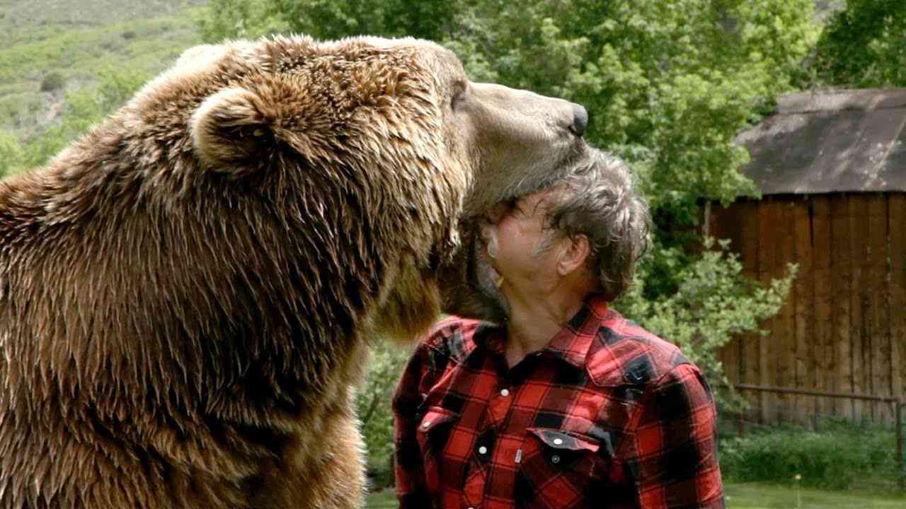 Wrestling A Grizzly Bear In My Garden - YouTube
