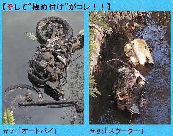 【悲報】東京・井の頭公園の池に捨てられてたものが酷い…