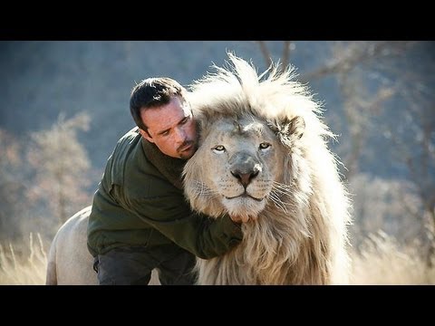 ✺ Kevin Richardson - Book - Part of The Pride - My life amonge the big cats of Africa - YouTube