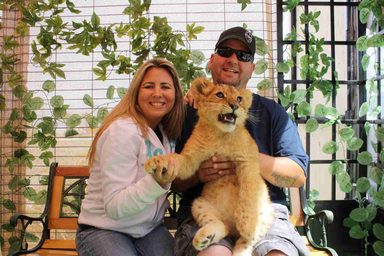 【話題】抱っこされた子羊が可愛すぎる