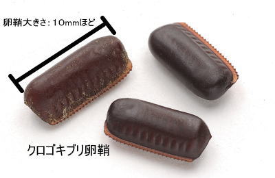 この世で最も苦手なものベスト3