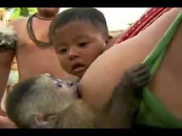 瀕死の子犬を助けた方法が物議…自身の胸から直接「授乳」した女性