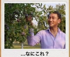 今年初!?の「ボケて」貼っていこう!!!