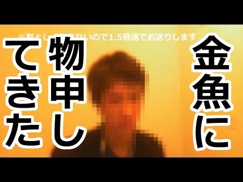 徹底討論！金魚はなぜ殺してはいけないのか？中編 - YouTube