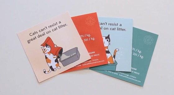 猫をターゲットに猫トイレの広告ダイレクトメールを送りつける業者、現る