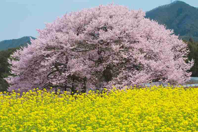春から環境が変わる方いますか？