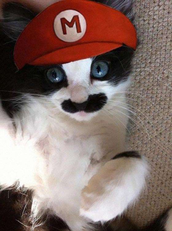 明るい気持ちになれる画像ください。