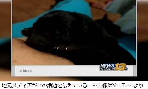 “瀕死の子犬に授乳”論議呼ぶ、死なせるのは「耐えられなかった」。 | Narinari.com