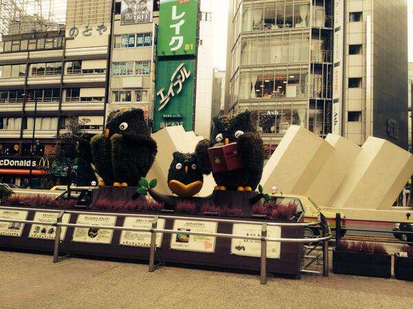 南関東地区スケジュール