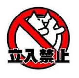 PSY「カンナム・スタイル」遂に日本初上陸！