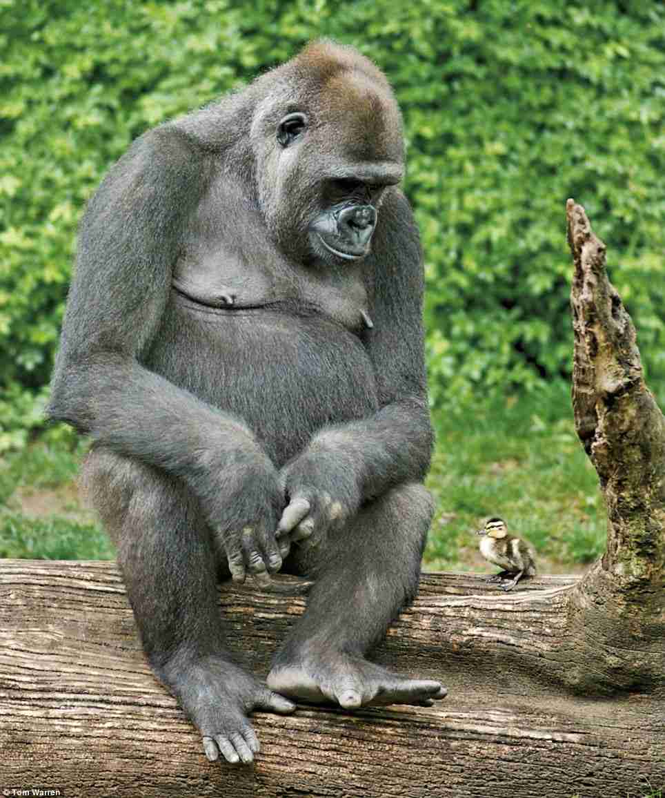 明るい気持ちになれる画像ください。