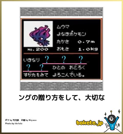 今年初!?の「ボケて」貼っていこう!!!