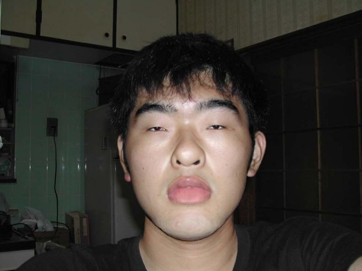 絶望的なブサイクがネット荒らし