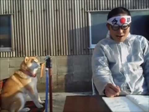 浪人させない犬 - YouTube