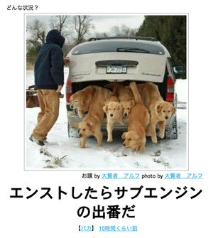 今年初!?の「ボケて」貼っていこう!!!