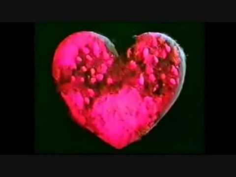 JUNGLE　恐怖ＣＭ - YouTube