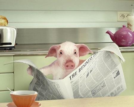 お宅はどこの新聞を取ってますか？