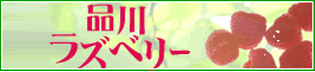 ホストラブ -hostlove.com-