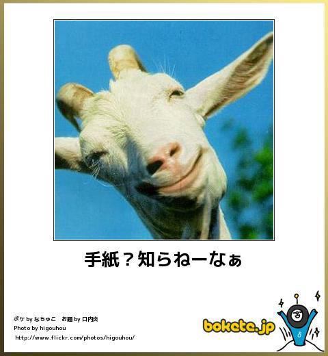 今年初!?の「ボケて」貼っていこう!!!