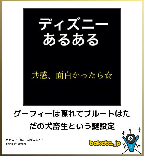今年初!?の「ボケて」貼っていこう!!!