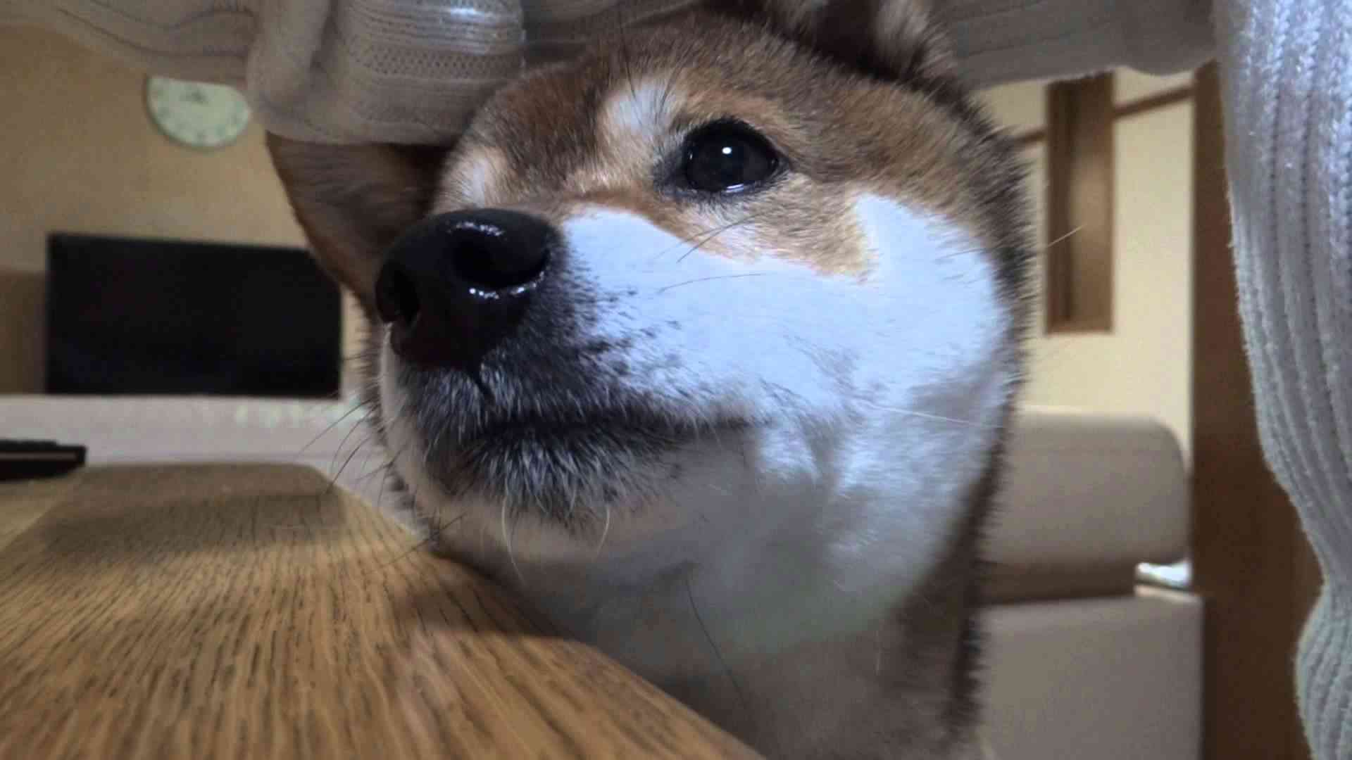 大好きなおやつ - YouTube