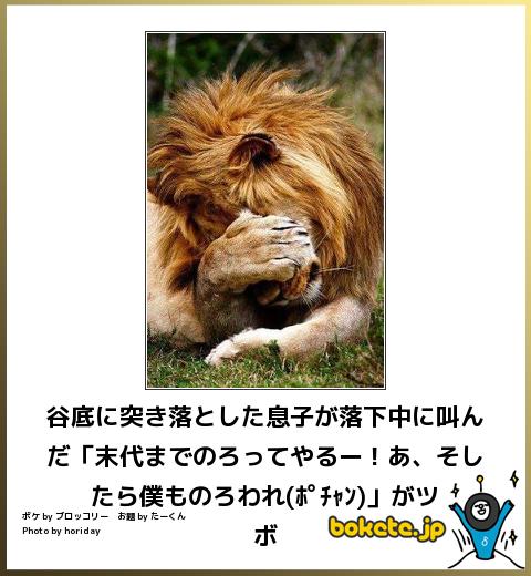 今年初!?の「ボケて」貼っていこう!!!
