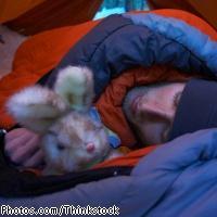 「似ている動物」で女子が喜ぶたとえ９パターン - Ameba News [アメーバニュース]