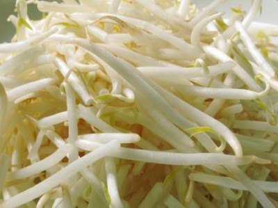 食費節約のために活用したい3大食材　3位「鶏むね肉」、2位「豆腐」、1位は……？ ｜ 「マイナビウーマン」