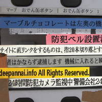 大田区田園調布　（３）　日本一の超豪邸街 - 東京DEEP案内