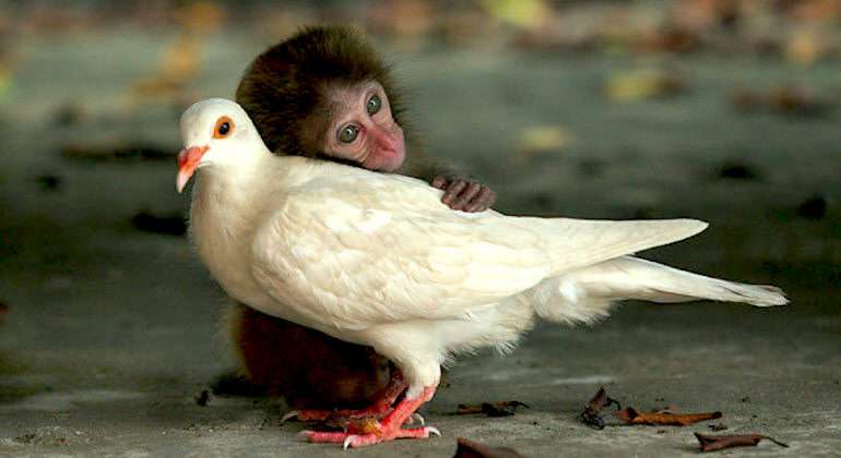 ハグしてる画像ください!