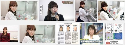 STAP細胞：小保方さん所属の理化学研究所の平均年収は約700万円|平均王子