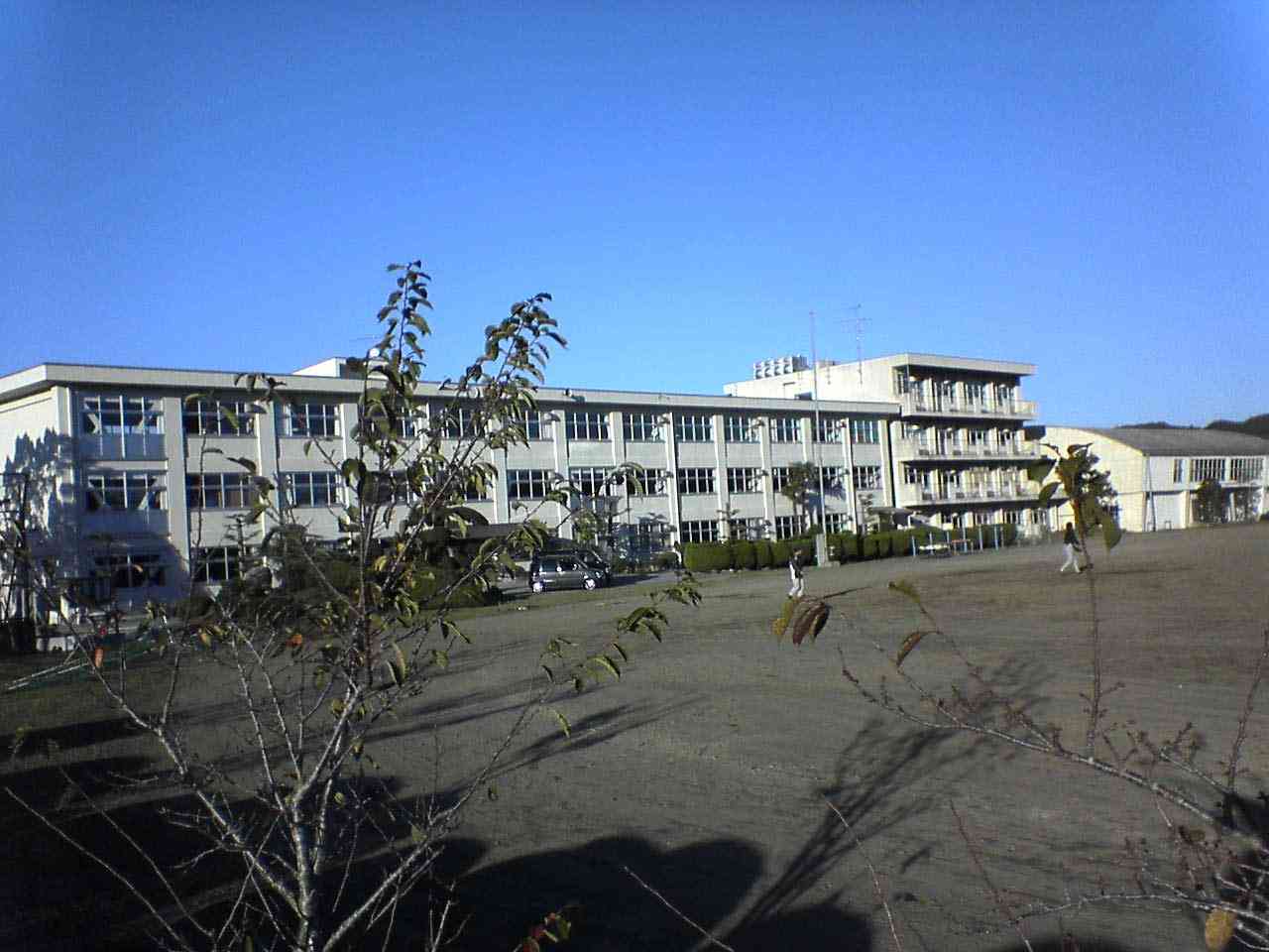 女子生徒を抱きしめ、頬にキスした中学女性教員を減給処分…千葉県