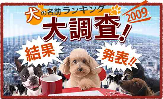 あなたのペットの名前と由来は？？