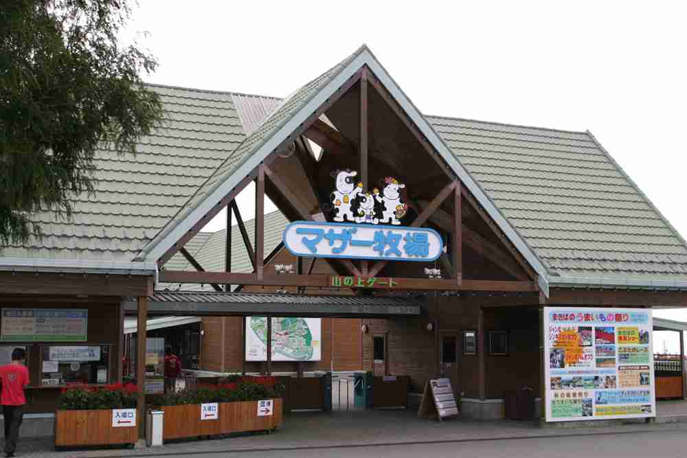 思いのほか面白かった所
