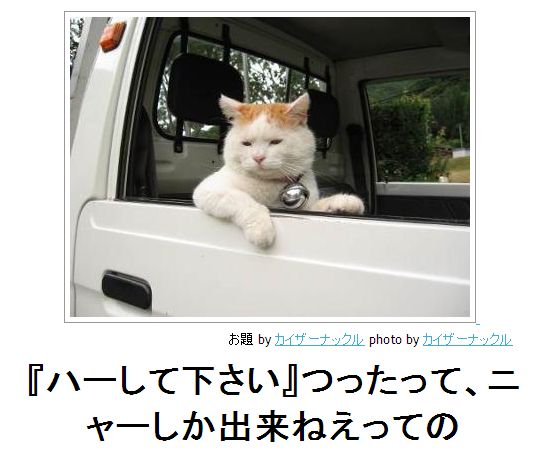 あなたが一番好きな画像