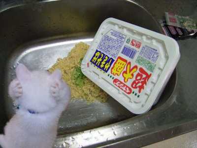 【後悔！】あなた史上、最も、もったいない事した～出来事