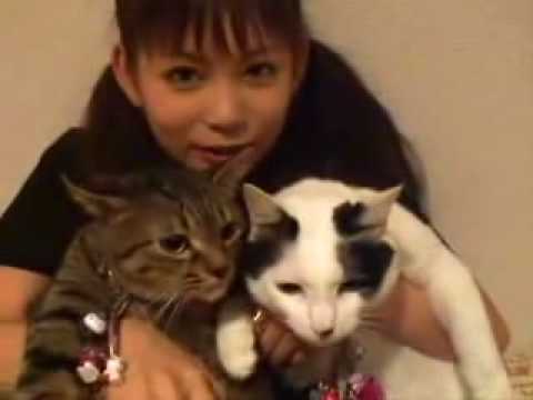 中川翔子 マミタス・チビ太 - YouTube