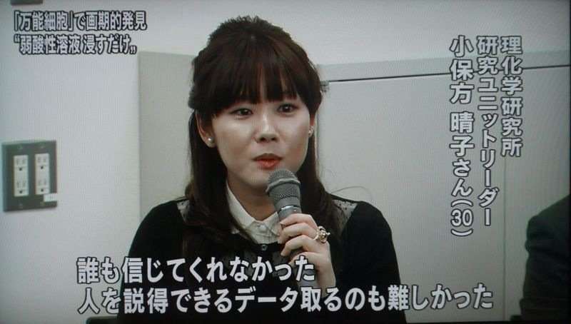 STAP細胞は実在しなかった？小保方氏が若山教授に渡したのは、実験に使われていないはずの別種類マウスのものだった