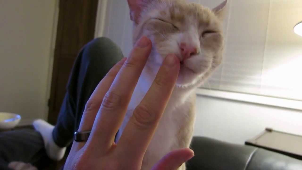 More Love Please! - YouTube