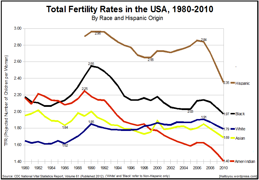 The USA’s Total Fertility Rates by Race, 1980 to 2010 | Hail To You