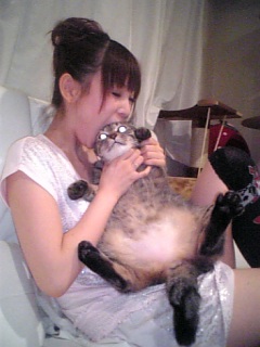 中川翔子が初エッセイ発売…印税で「猫助けたい」
